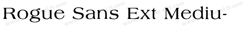 Rogue Sans Ext Mediu字体转换